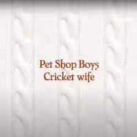 LISTEN: Pet Shop Boys Release 10 Minute Song 'Cricket Wife'