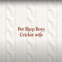 LISTEN: Pet Shop Boys Release 10 Minute Song 'Cricket Wife' Video