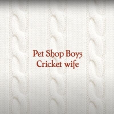 LISTEN: Pet Shop Boys Release 10 Minute Song 'Cricket Wife'