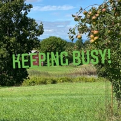 BWW Blog: Keeping Busy