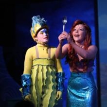 Review: DISNEY'S THE LITTLE MERMAID at Murry's Dinner Playhouse Brings the Disney Mag