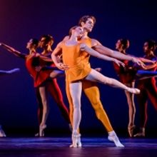 BWW Review: CONCERTO/ENIGMA VARIATIONS/RAYMONDA ACT III, Royal Opera House