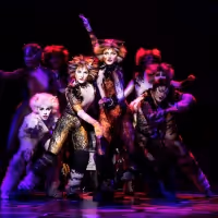 BWW Review: CATS Prowls and Prances Into the Hobby Center