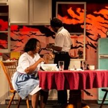 BWW Review: WhatsInTheMirror's FIREFLIES Tackles Big Topics
