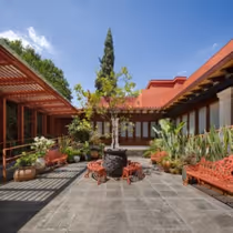 Museo Casa Kahlo Welcomes More Than 100,000 Visitors in Its First Year