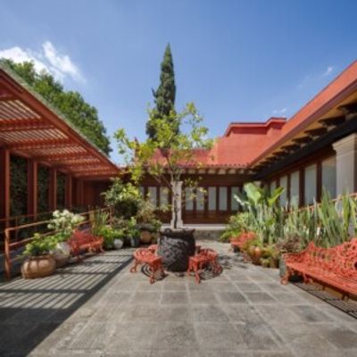 Museo Casa Kahlo Welcomes More Than 100,000 Visitors in Its First Year