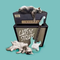 FS3 Trio Featuring Austrian Guitarist Joe Doblhofer Releases Debut Album 'Cats 'n'…