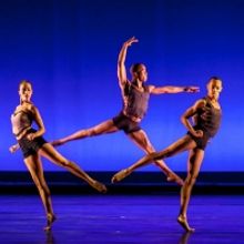 Dallas Black Dance Theatre To Take Part In Jacob's Pillow International Dance Festiva