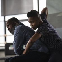 Brooklyn Academy of Music Launches Seven Residencies in October