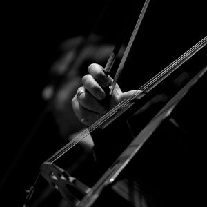 Feature: Rita Deanin Abbey Art Museum To Present COLORS: A CONCERT EXPERIENCE ON STRINGS