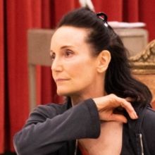 The Goodman's BERNHARDT/HAMLET Begins Performances September 14th