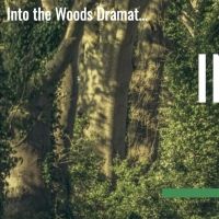 Student Blog: Pre-Production for INTO THE WOODS