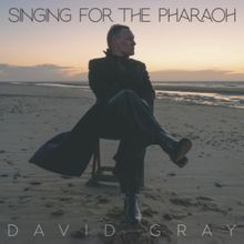 David Gray Unveils New Single 'Singing for the Pharaoh'
