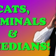 CATS, CRIMINALS & COMEDIANS Comes to The United Solo Theatre Festival