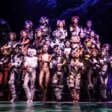 BWW Review: CATS Brings the Jellicle Ball to the Kennedy Center