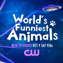 WORLD'S FUNNIEST ANIMALS Will Return to The CW