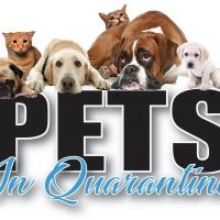 Bell Tower Theater Will Present Virtual Play, PETS IN QUARANTINE