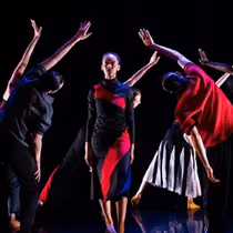 Winifred Haun & Dancers Unveils 2026-27 Season Featuring World Premieres and More