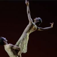 VIDEO: Watch Francesca Hayward Perform Pas De Deux From Royal Opera's WITIHIN THE…