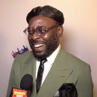 Video: Stars Walk the Opening Night Red Carpet for FAT HAM