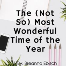 Student Blog: The (Not So) Most Wonderful Time of the Year