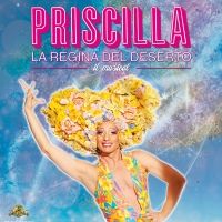 PRISCILLA LA REGINA DEL DESERTO al Teatro Brancaccio COMUNICATO STAMPA