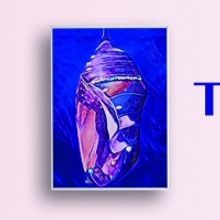 StoryMan Productions to Present a Staged Reading of THE CHRYSALIS