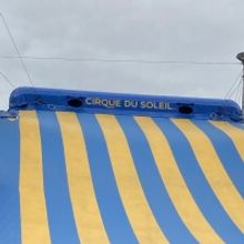 KURIOS - CABINET OF CURIOSITIES a ROMA TOR DI QUINTO