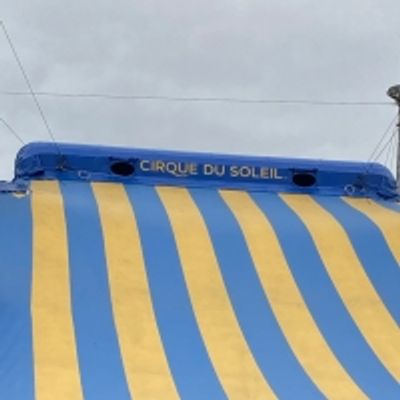 KURIOS - CABINET OF CURIOSITIES a ROMA TOR DI QUINTO