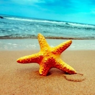 Student Blog: Keeping Your Cool in Finals Season
