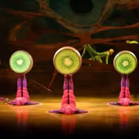 Cirque Du Soleil's OVO Arrives In Phoenix