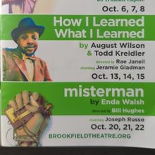 Review: 3X3 FESTIVAL: HOW I LEARNED WHAT I LEARNED at Brookfield Theater Of The Arts