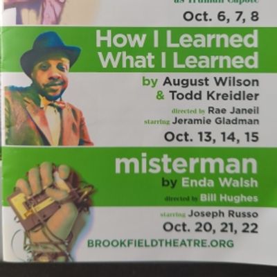 Review: 3X3 FESTIVAL: HOW I LEARNED WHAT I LEARNED at Brookfield Theater Of The Arts