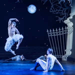 Review: MATTHEW BOURNE'S SWAN LAKE: THE NEXT GENERATION, Sadler's Wells