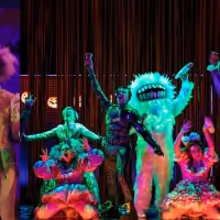Student Blogs This Week - Halloween Musicals, Costume Ideas, and More!