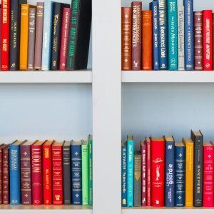 Student Blog: Summertime Studies and Stressors