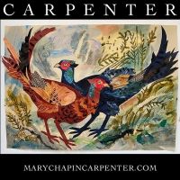 Mary Chapin Carpenter Comes To DPAC, August 17
