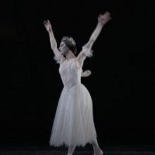 VIDEO: The Royal Ballet's Marianela Nuñez Performs From GISELLE