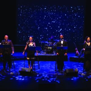 Theatre Collingwood Announces Their 40th Anniversary Year Programming For 2024