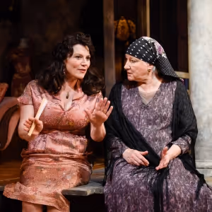 Review: THE ROSE TATOO by Tennessee Williams at The Shakespeare Theatre of New…