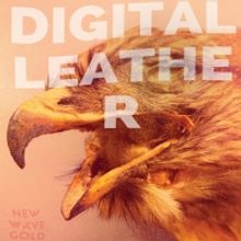 Digital Leather Announces New Album NEW WAVE GOLD & Shares First Single 'A Cut Above'
