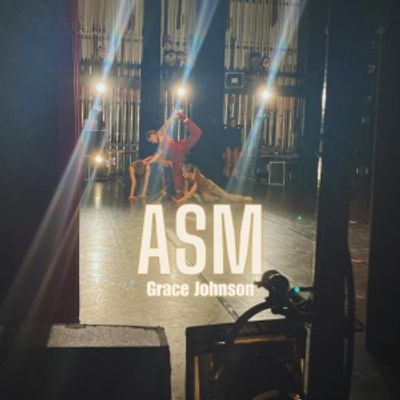 Student Blog: ASMing: Always Sleepy (wo)Men