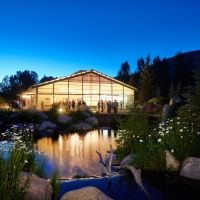 Theatre Aspen to Present Second Annual One-Person Show Festival SOLO FLIGHTS
