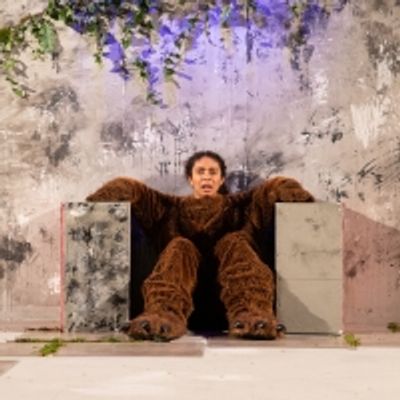 BWW Review: I WILL STILL BE WHOLE (WHEN YOU RIP ME IN HALF)/BEFORE I WAS A BEAR, The Bunker