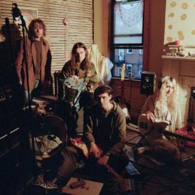Feeble Little Horse Announce 'bitknot' Limited Zoetrope Animated Vinyl