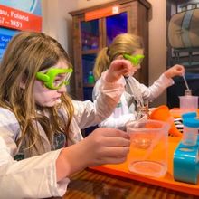 Museum of Discovery and Science Unveils January Programming