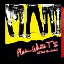 Plain White T's Celebrate 15th Anniversary of 'All That We Needed' With Vinyl Debut