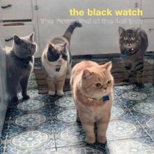 THE BLACK WATCH to Release 27th Album THE FUZZY END OF THE LOLLIPOP