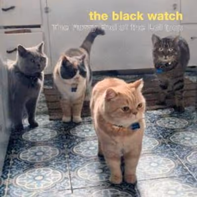 THE BLACK WATCH to Release 27th Album THE FUZZY END OF THE LOLLIPOP