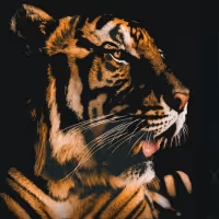 UNCAGED: The Untold Stories from the Cast of Tiger King Announced at Marcus Center